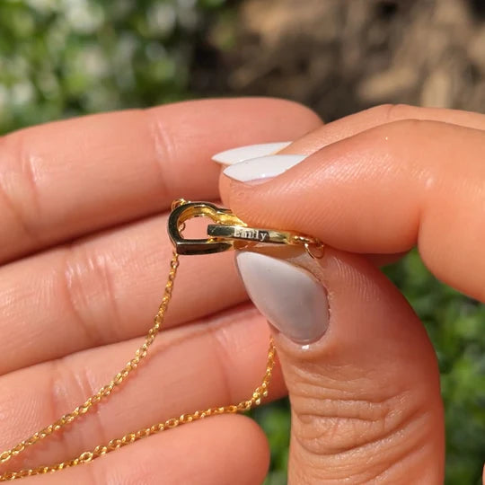 Evig rosebjørn og personlig halskjede